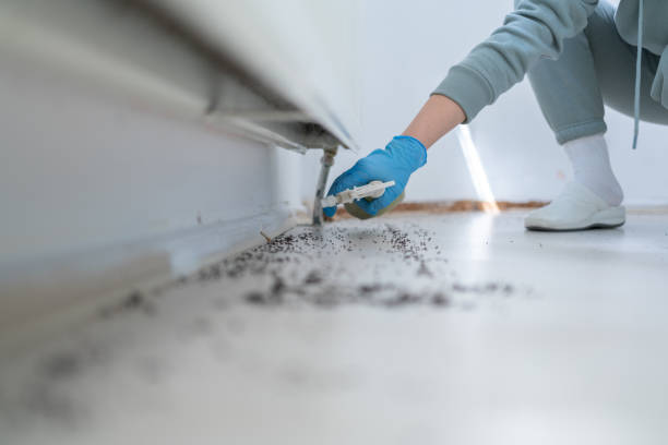 Trusted Crest, CA Pest Control Experts